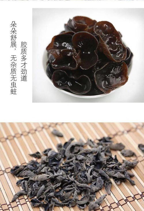 东北之珍——秋木耳，来自大兴安岭的自然馈赠