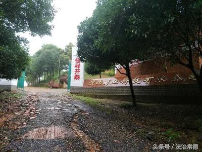 从烟花易冷到菌香四溢 湖南常德一则转型故事的深度解读